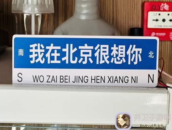 想不想修真，宠物怎么开？解锁宠物养成秘籍，让你修真之路轻松上手！