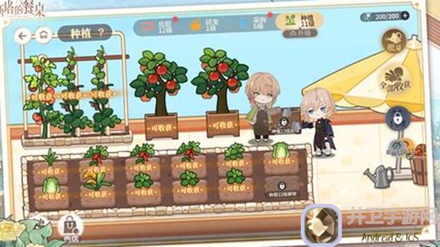 维斯塔的餐桌：维斯塔学生档案鸢尾研修会本，值不值得冲？